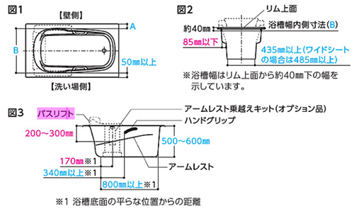 oXtgiʌjEWB100SS̃J[iFj